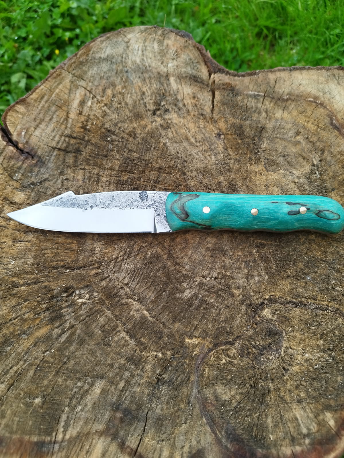 Trappeur Shark : manche hêtre échauffé bleu / vert stabilisation maison