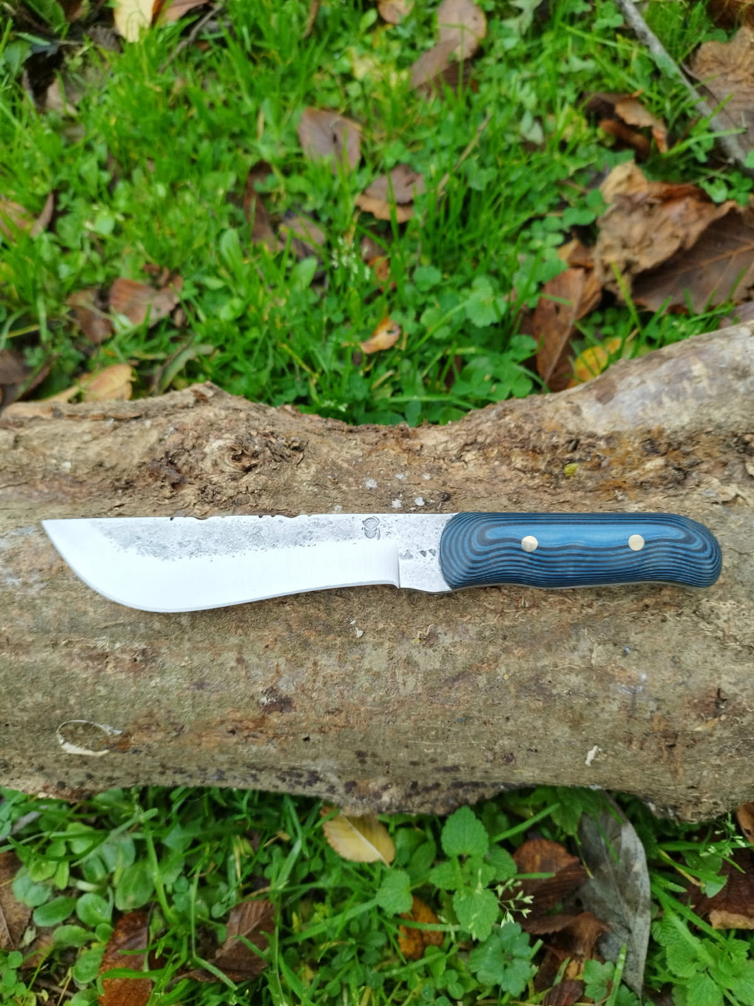 Un couteau de table pour Hyppolite