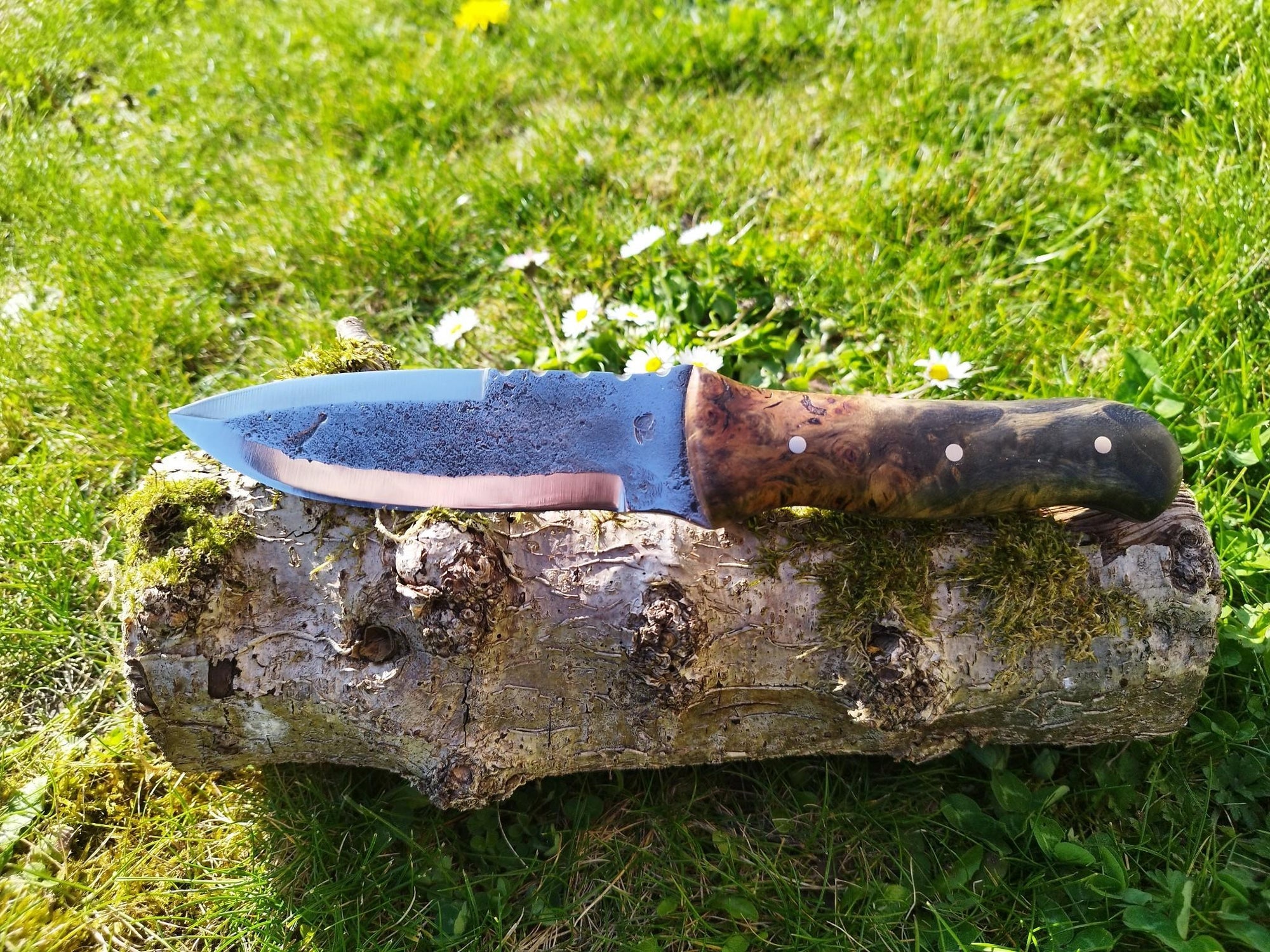Le Survivor Double Tranchant