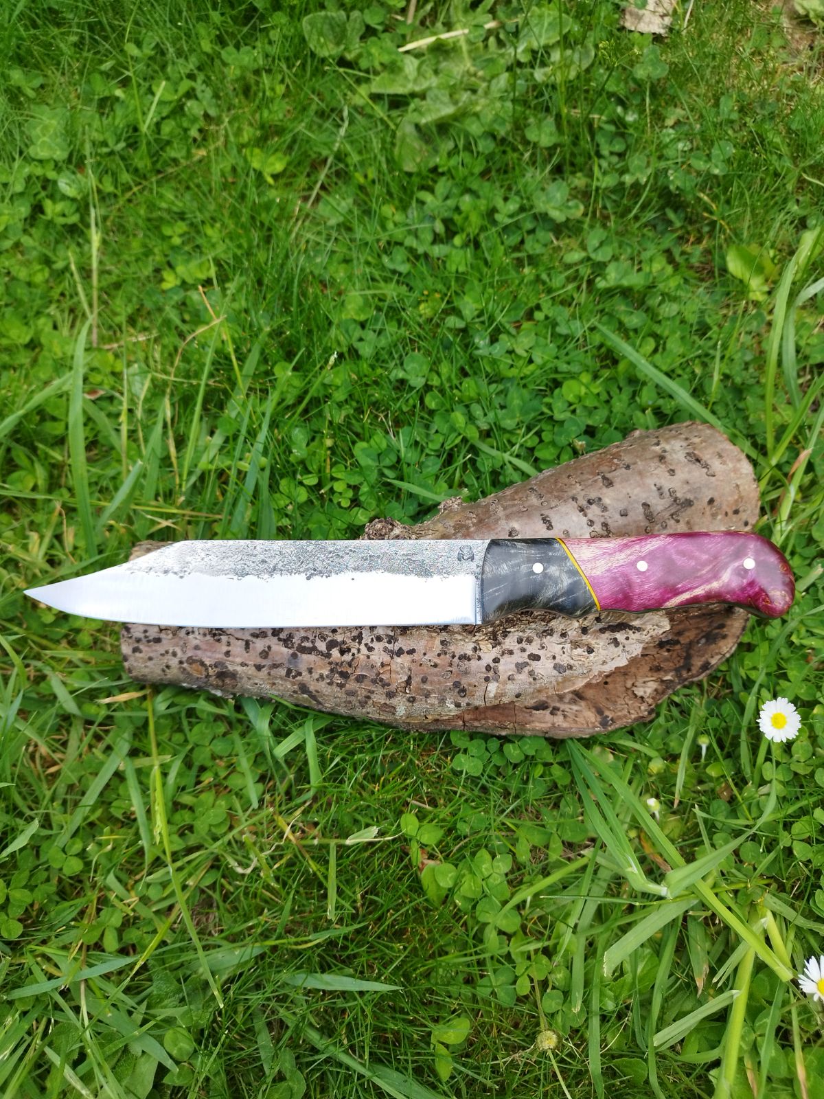 Bowie Bicolore