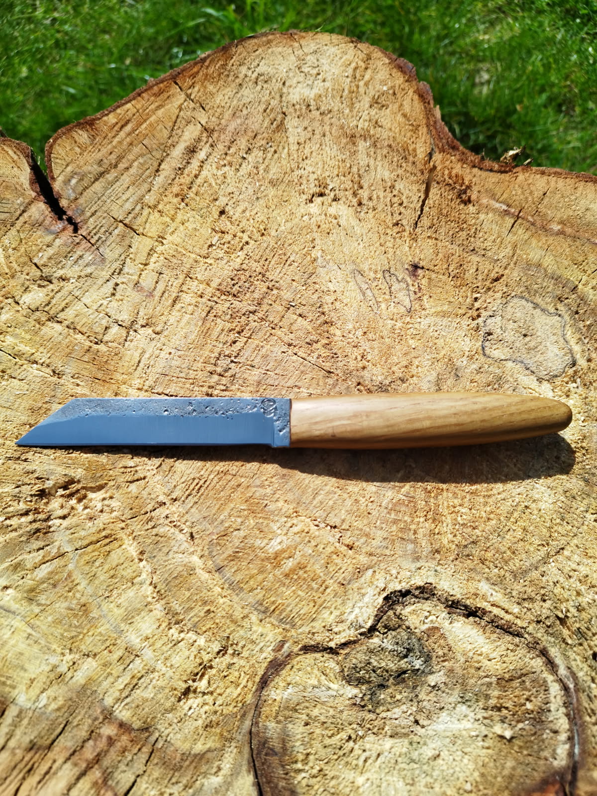 Petit Scramasaxe : manche forme olive
