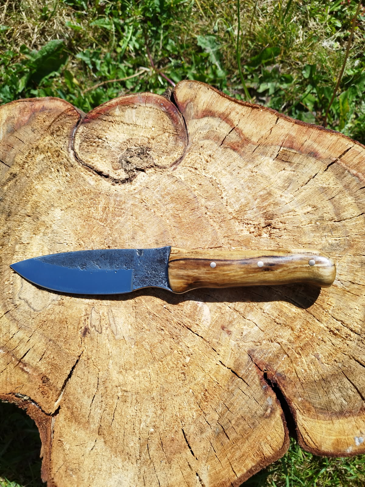 Le Survivor Simple Tranchant