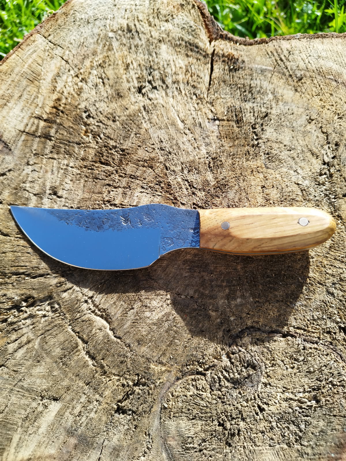 Le Predator : manche en chêne