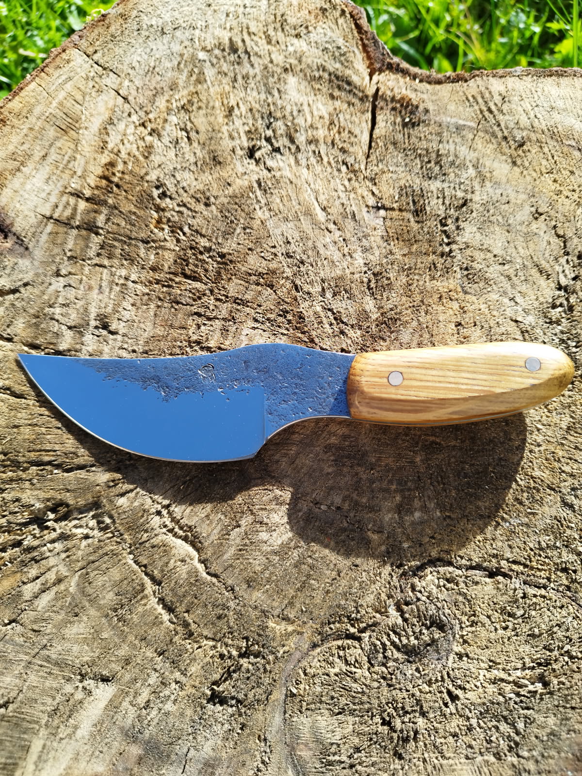 Le Predator : manche en chêne