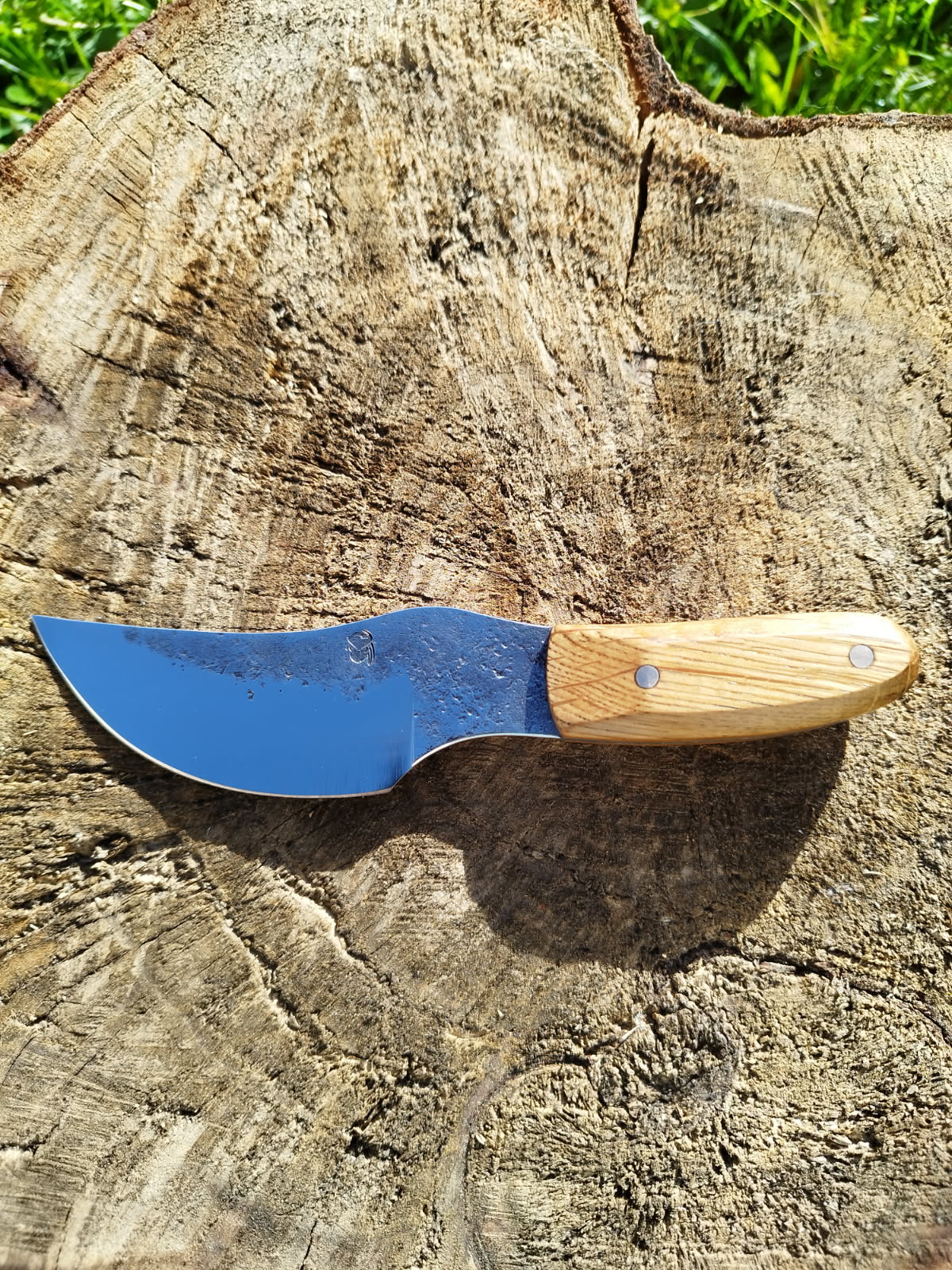 Le Predator : manche en chêne