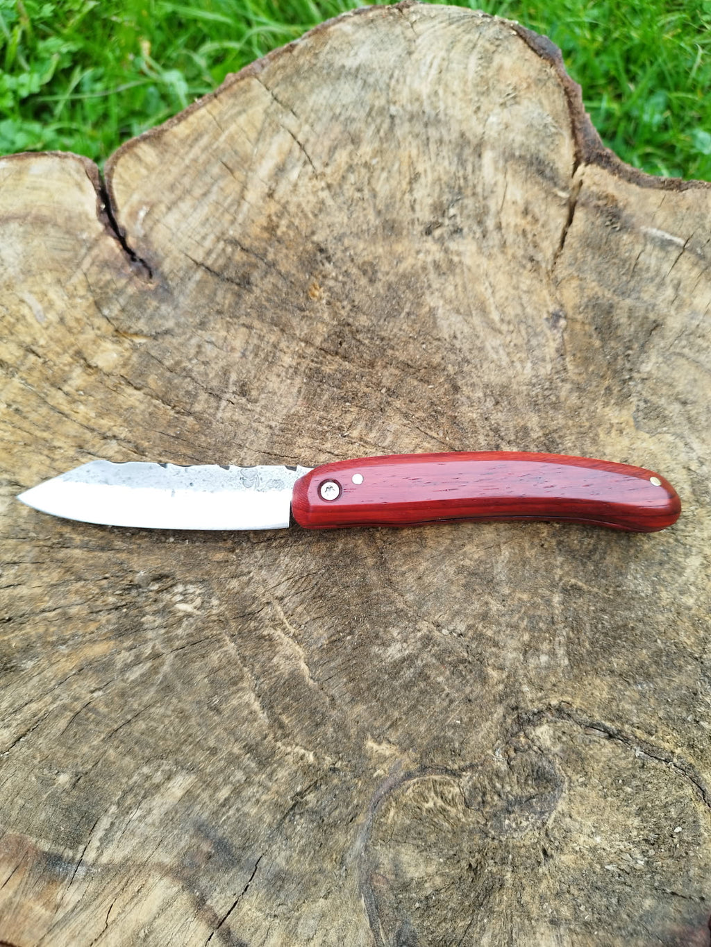 Grand Predallien : Manche en Bois de Santal