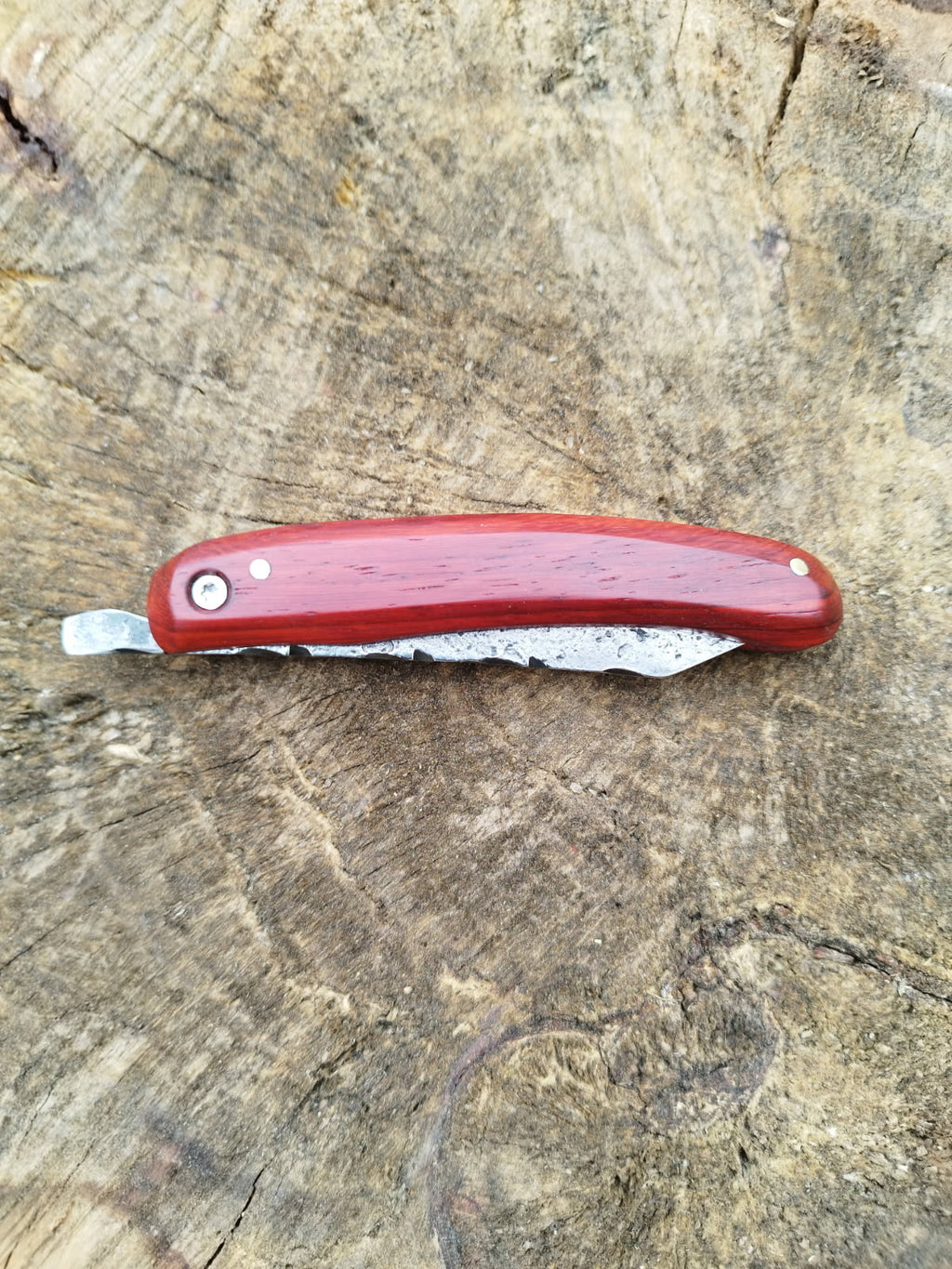 Grand Predallien : Manche en Bois de Santal