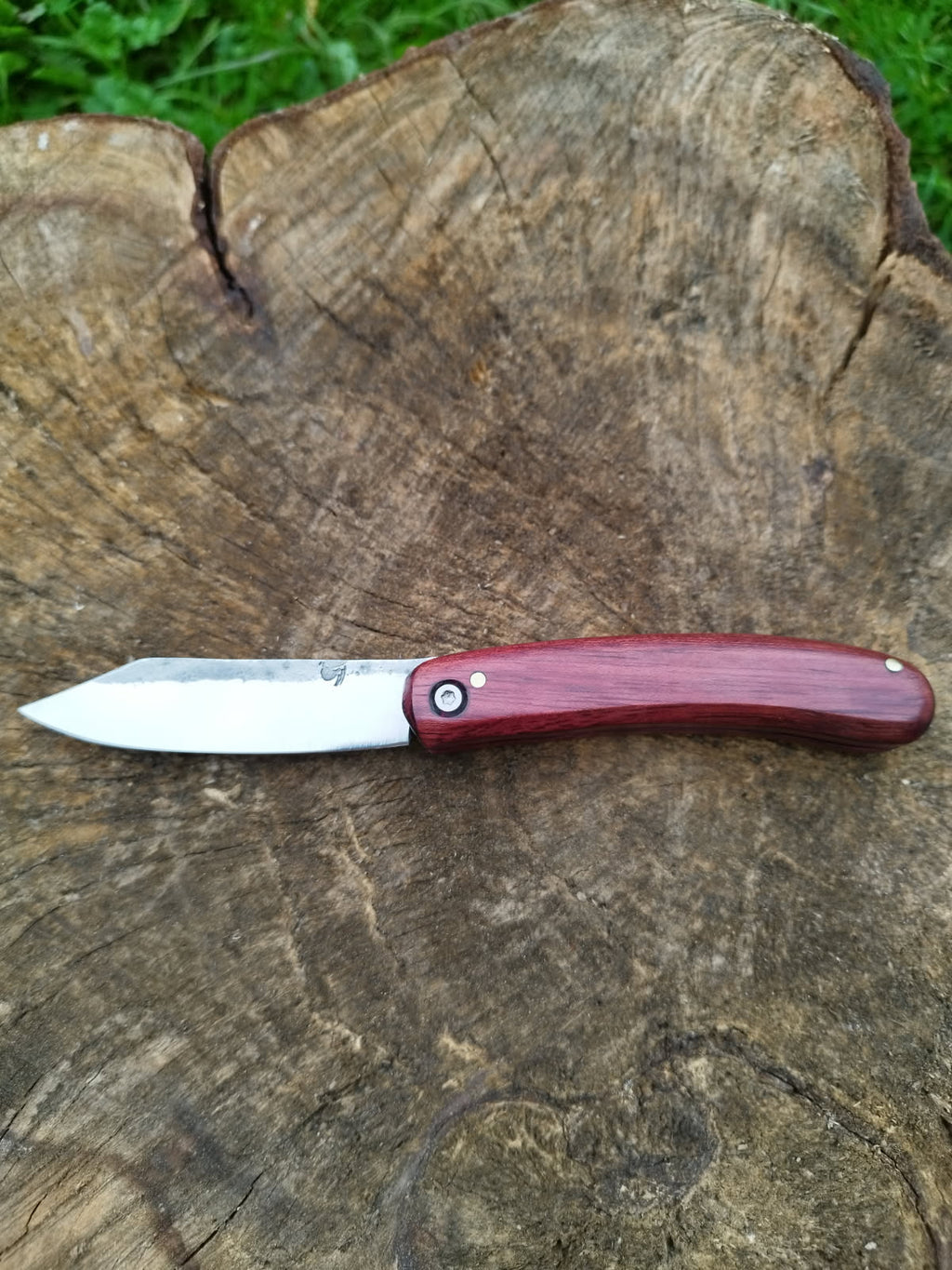 Predallien : Manche en Amarante