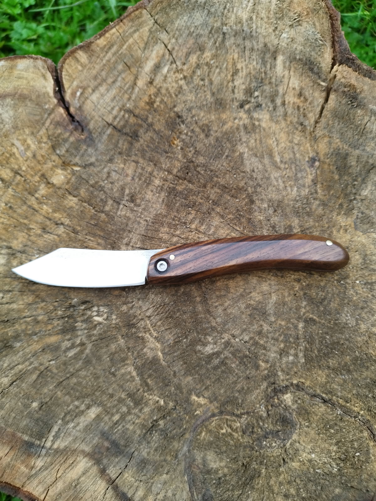 Predallien : Manche en Noyer