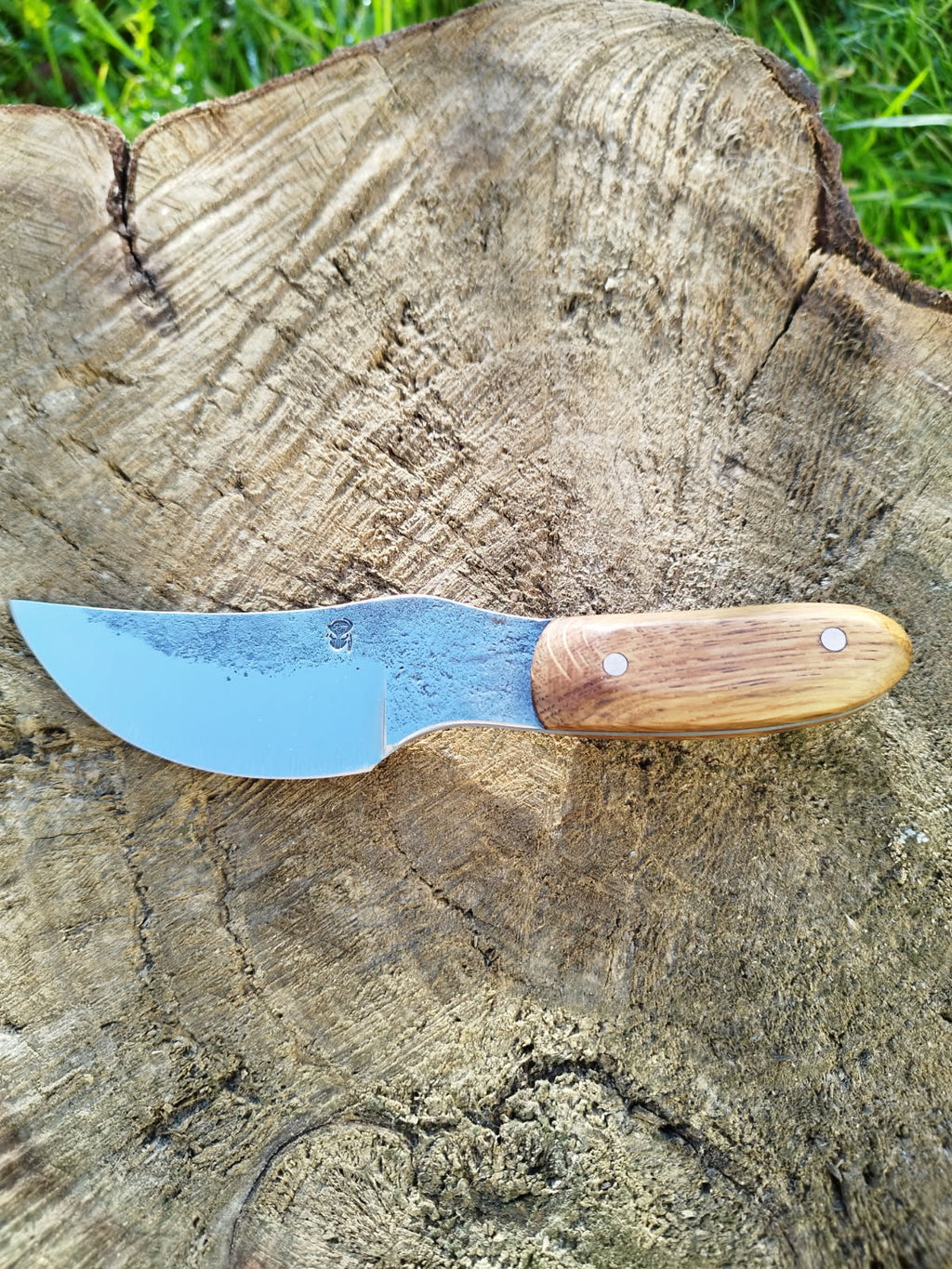 Le Predator : manche en chêne