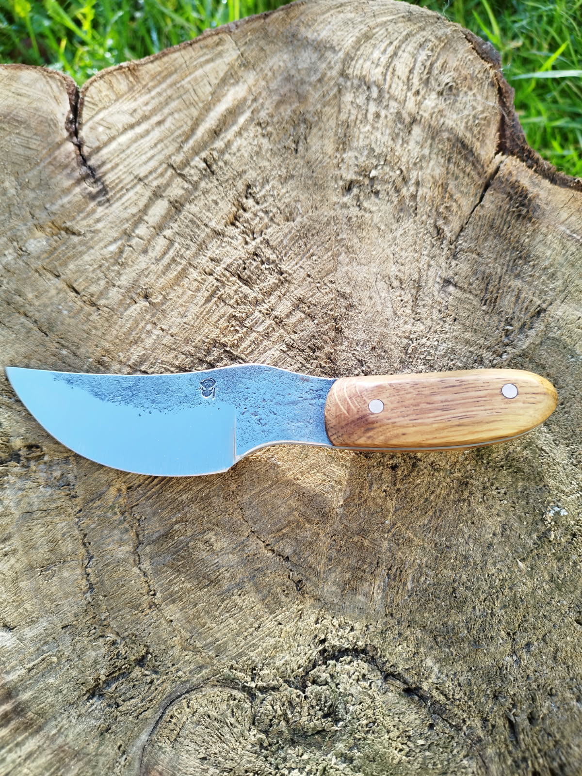 Le Predator : manche en chêne