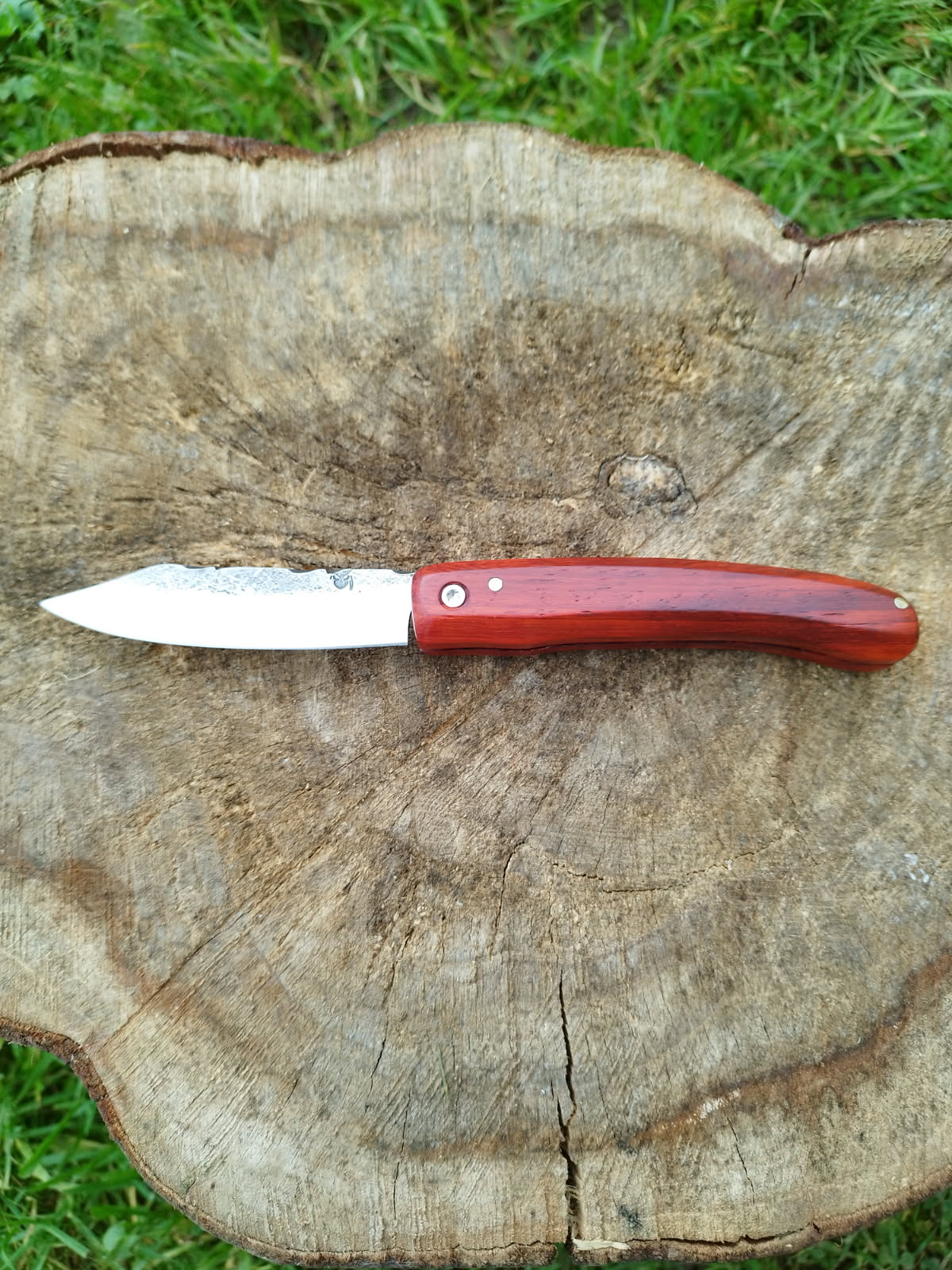 Grand Predallien : Manche en Bois de Santal