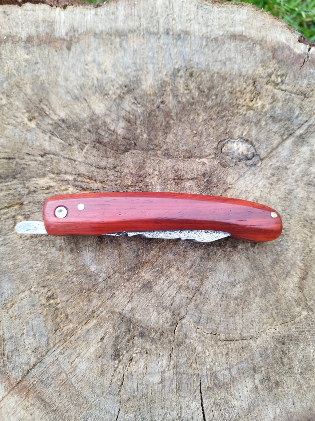 Grand Predallien : Manche en Bois de Santal