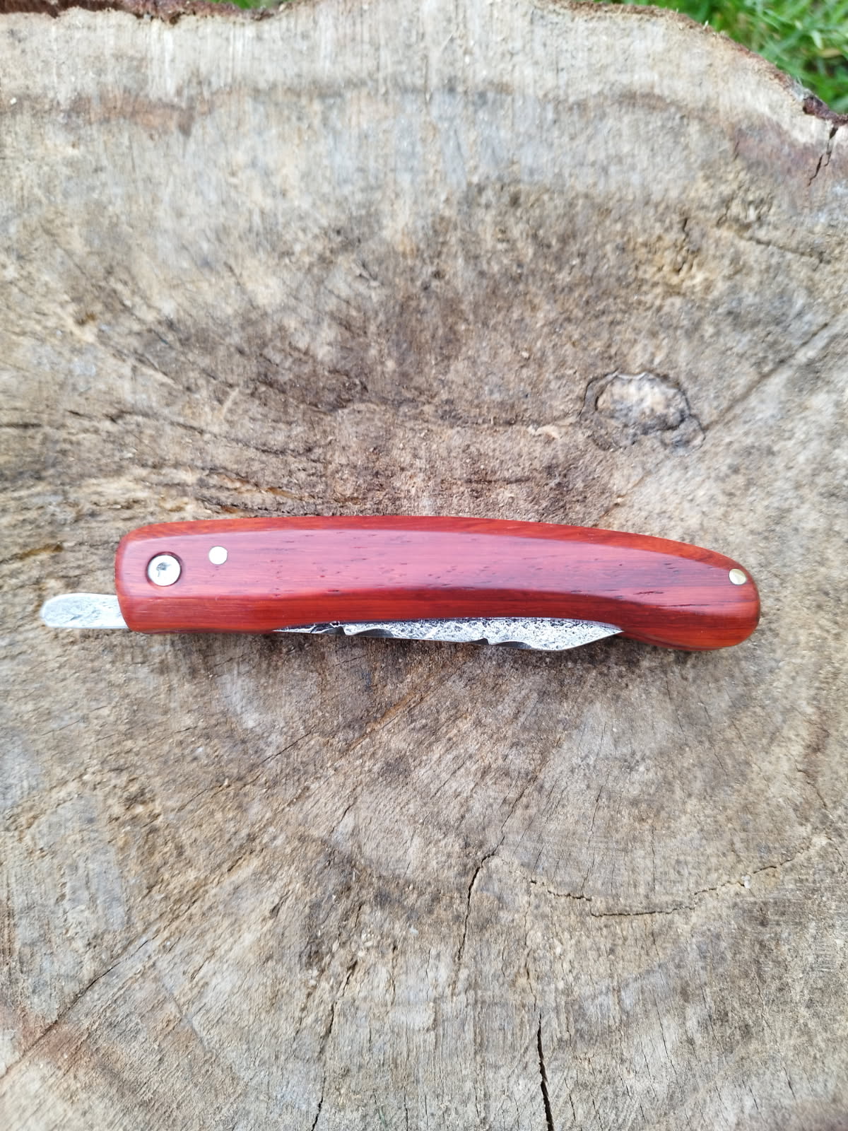 Grand Predallien : Manche en Bois de Santal