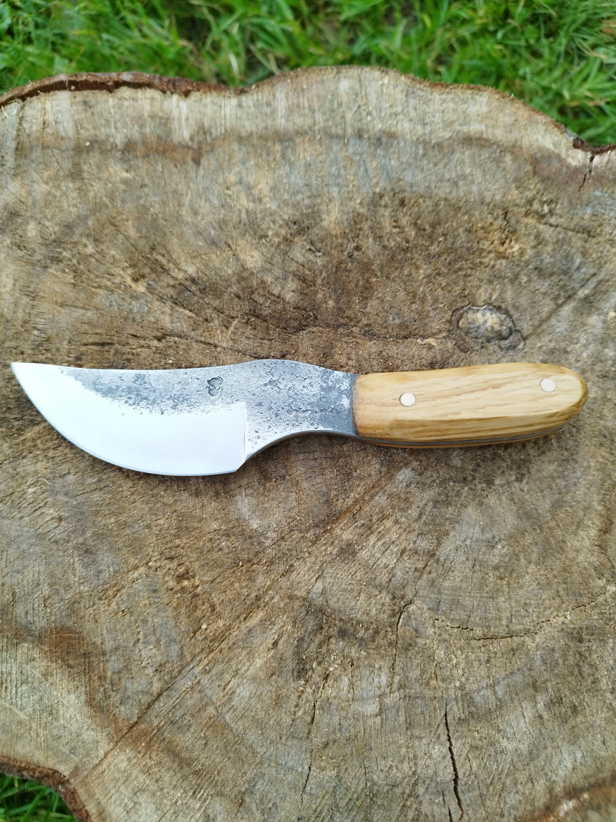 Le Predator : manche en chêne