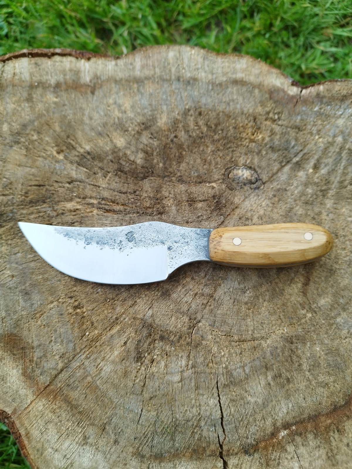 Le Predator : manche en chêne