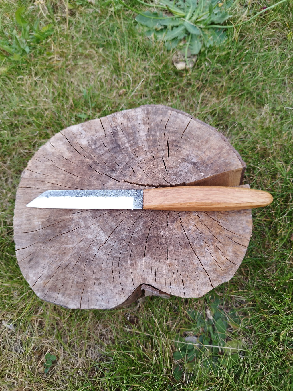 Petit Scramasaxe : manche forme olive