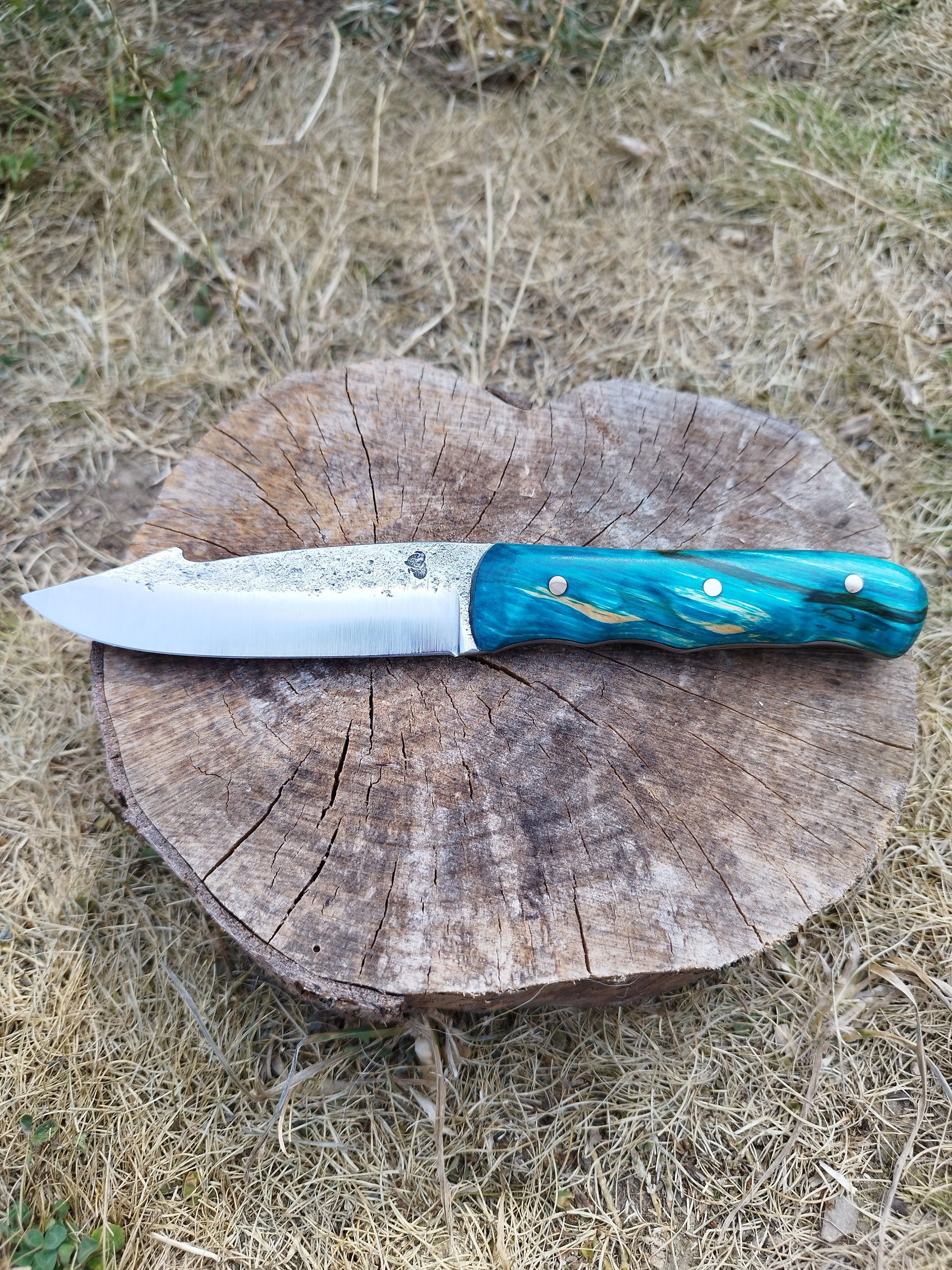 Trappeur Forme Shark : Manche Erable Échauffé Bleu Stabilisation Maison