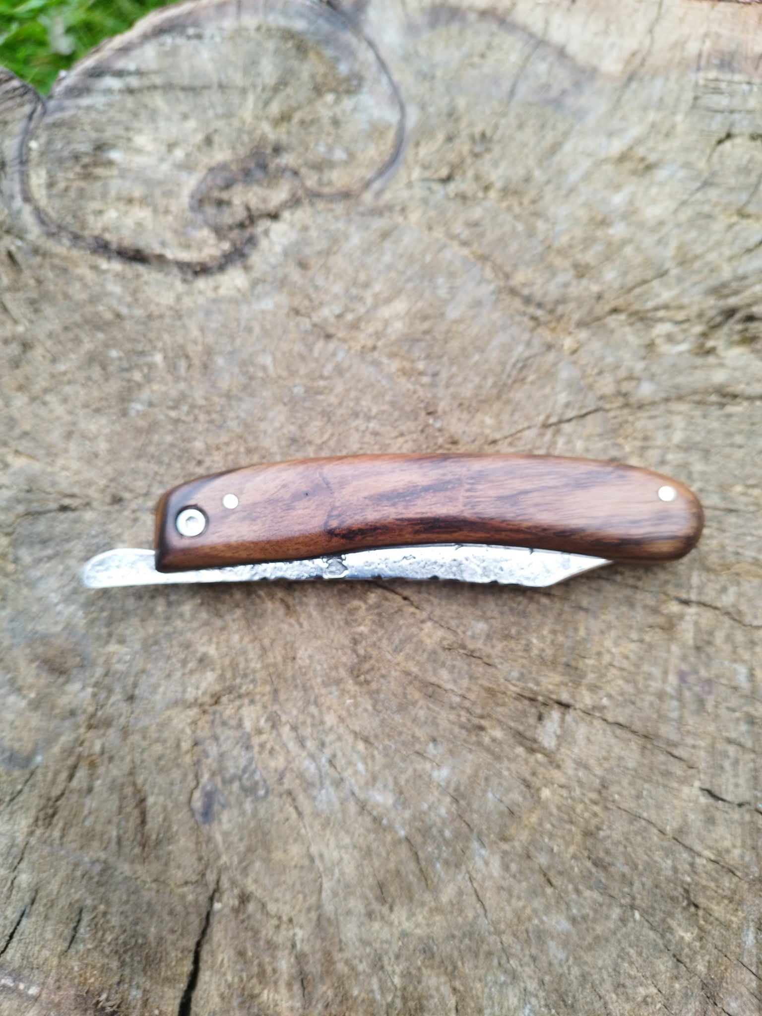 Grand Predallien : Manche en Noyer