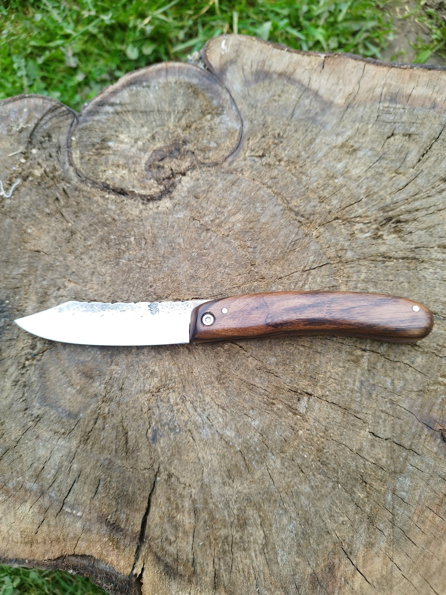 Grand Predallien : Manche en Noyer