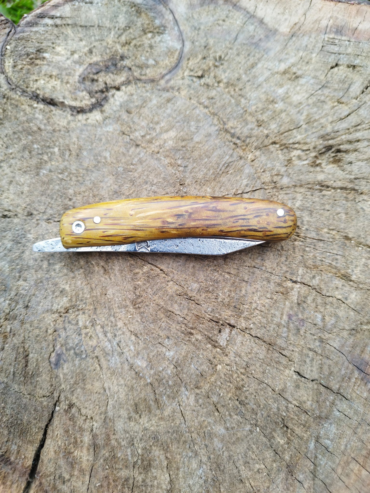 Predallien : Manche en Palmier Jaune