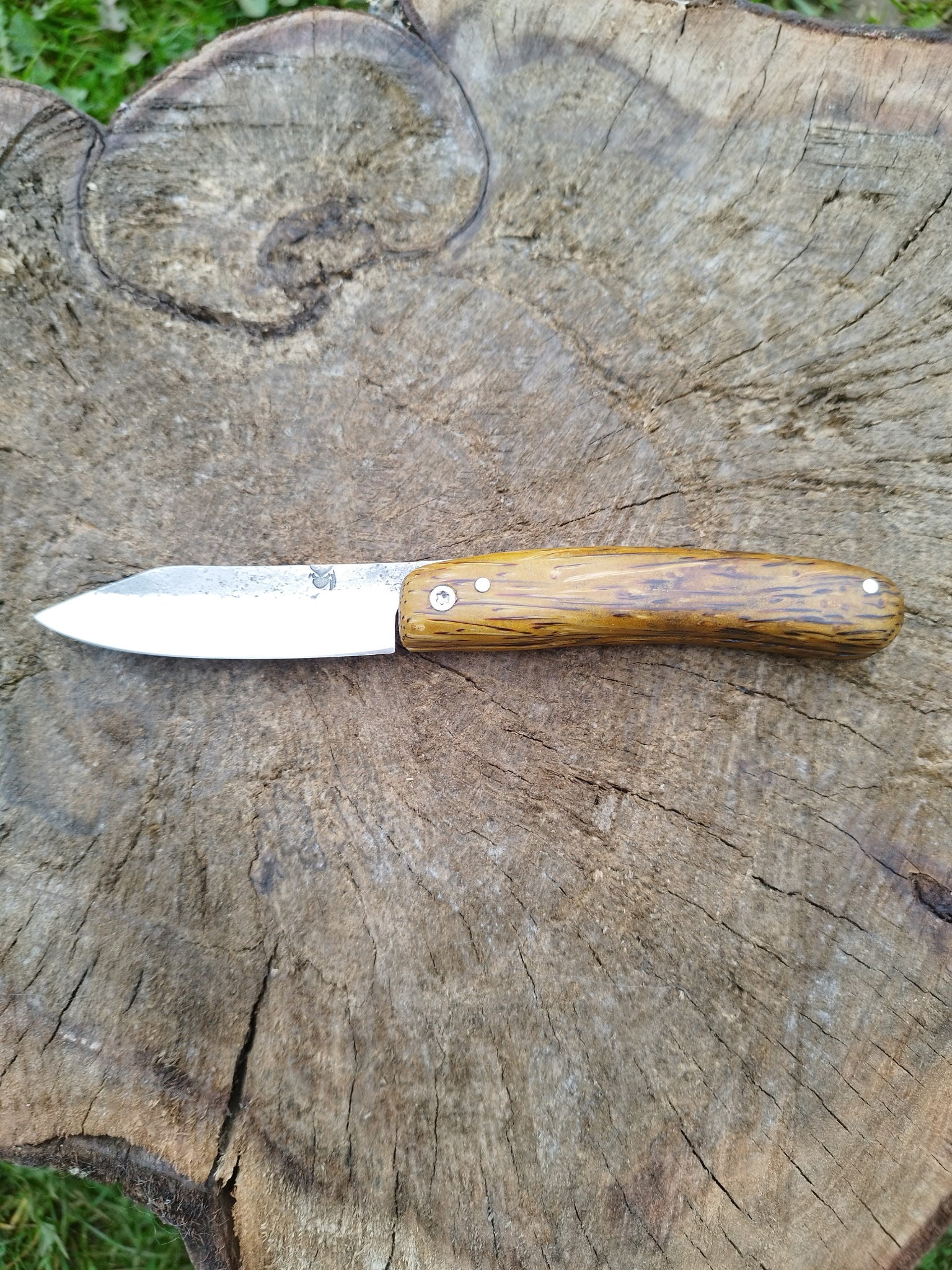 Predallien : Manche en Palmier Jaune