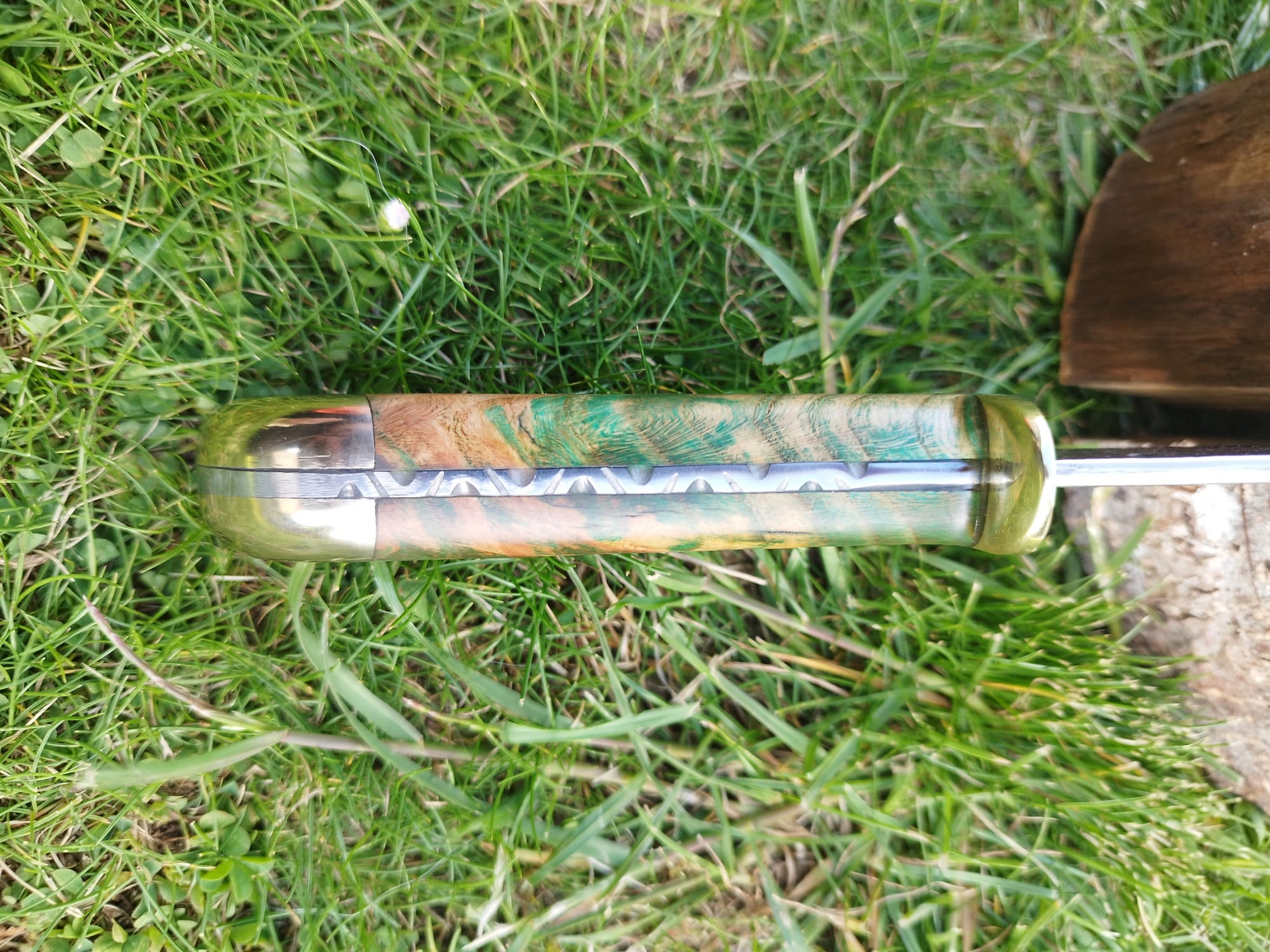 Griffe de l'Ours : Manche en Merisier Vert avec Laiton