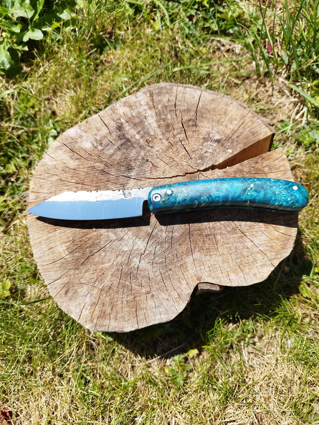 Grand Predallien : Manche en Loupe d'Érable Bleu