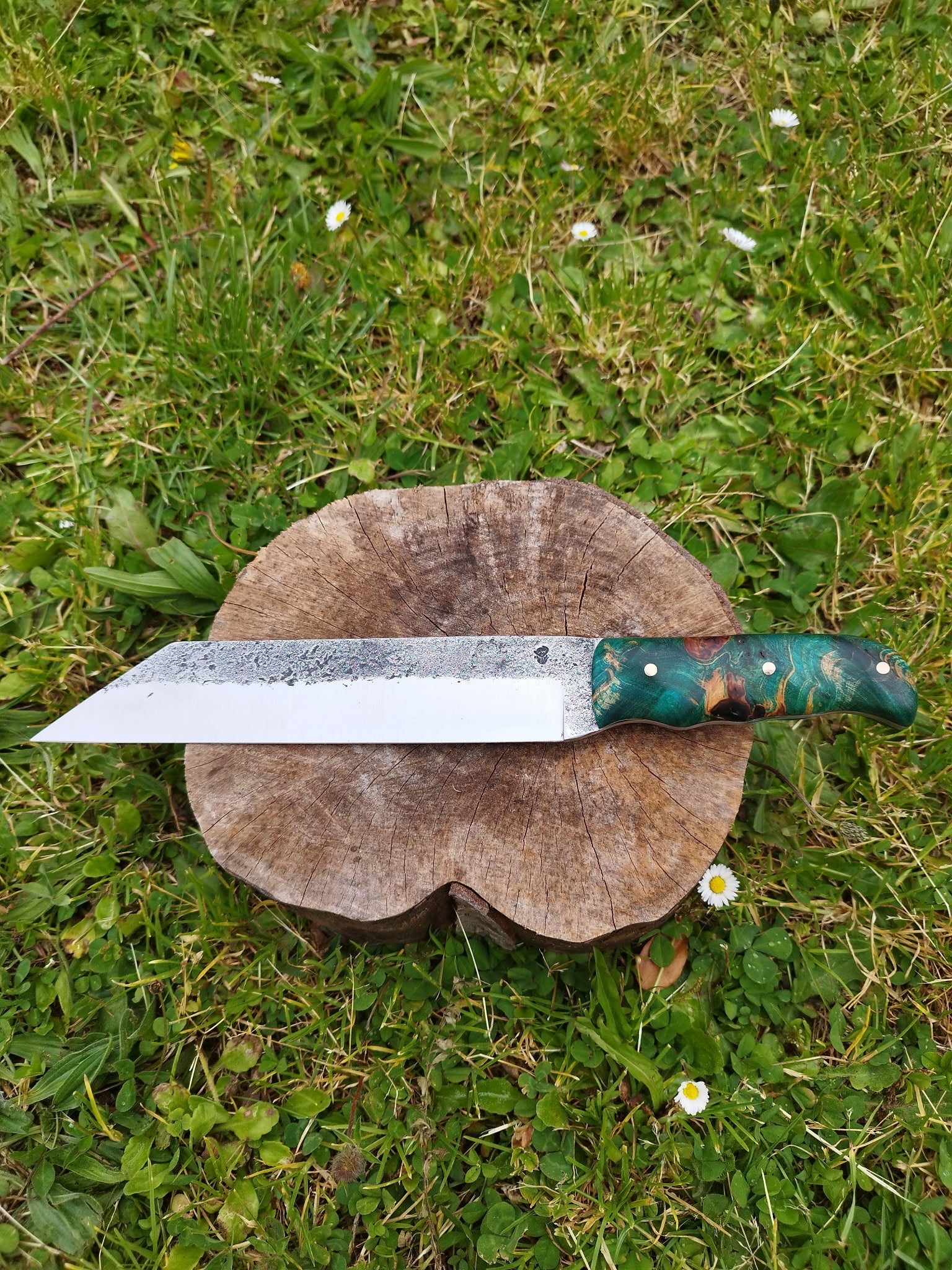 Scramasaxe : Manche en Loupe de Tilleul Vert