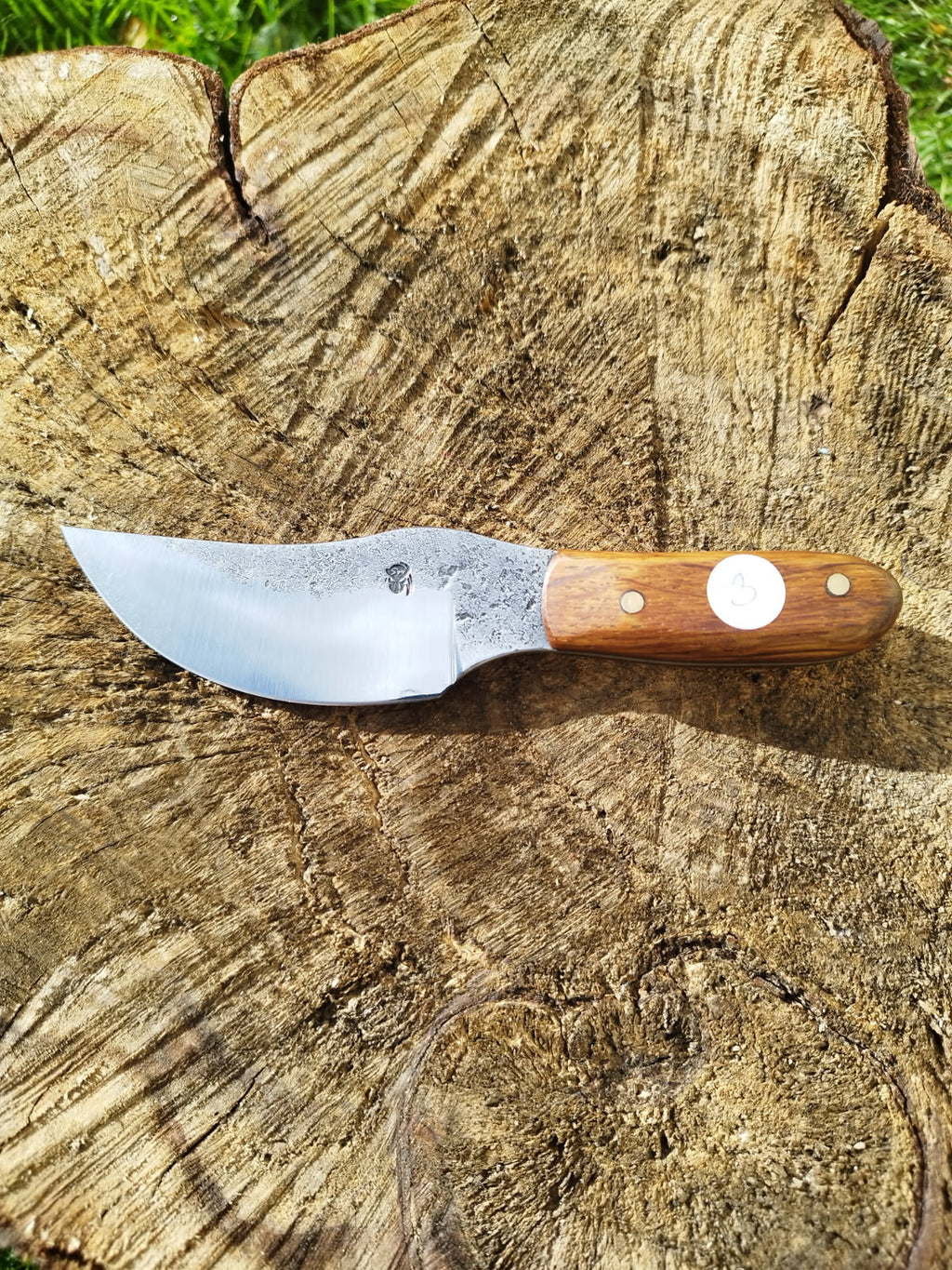 Le Predator : manche en chêne