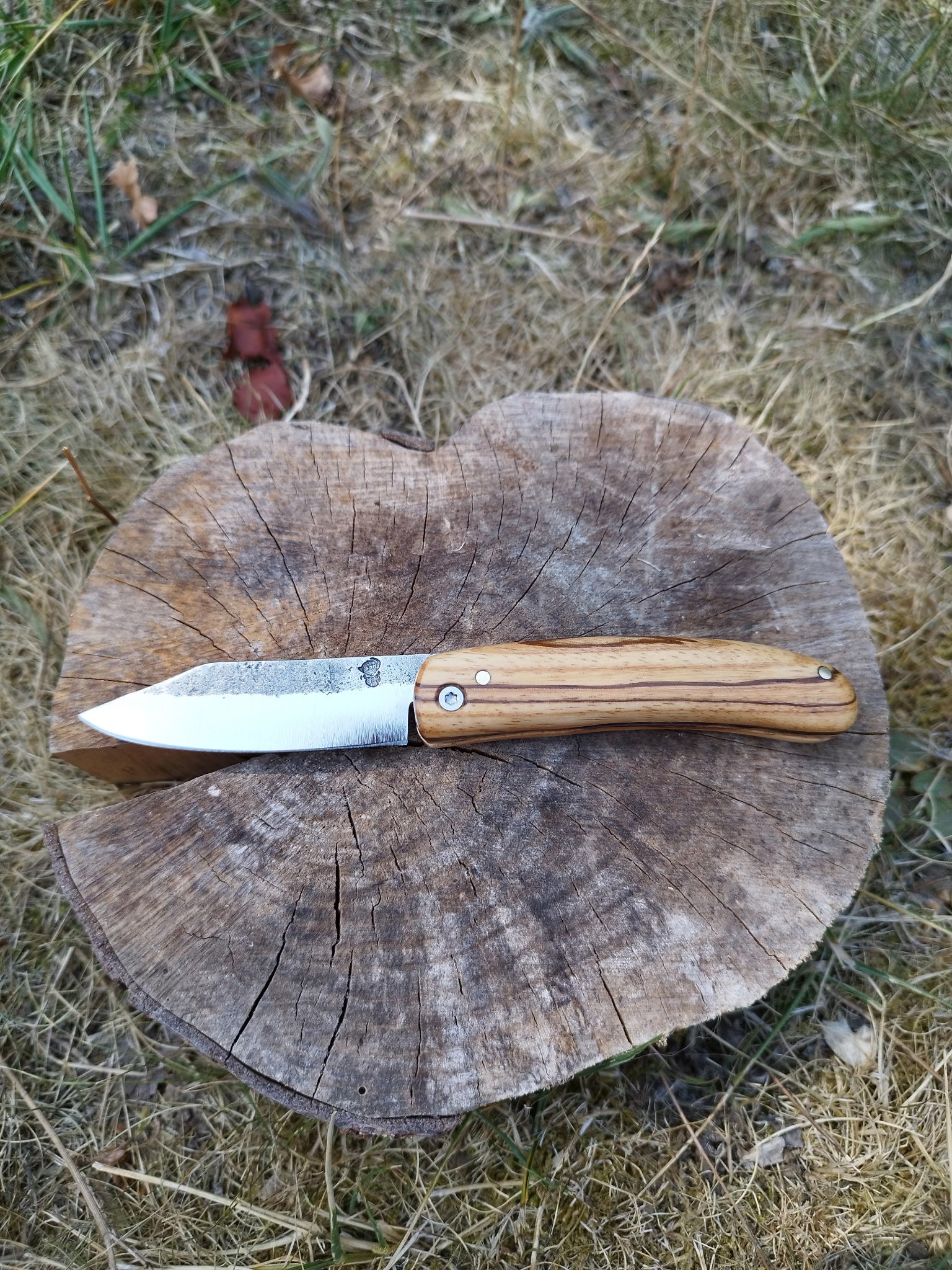 Predallien : Manche Guilloché en Bois de Zébre