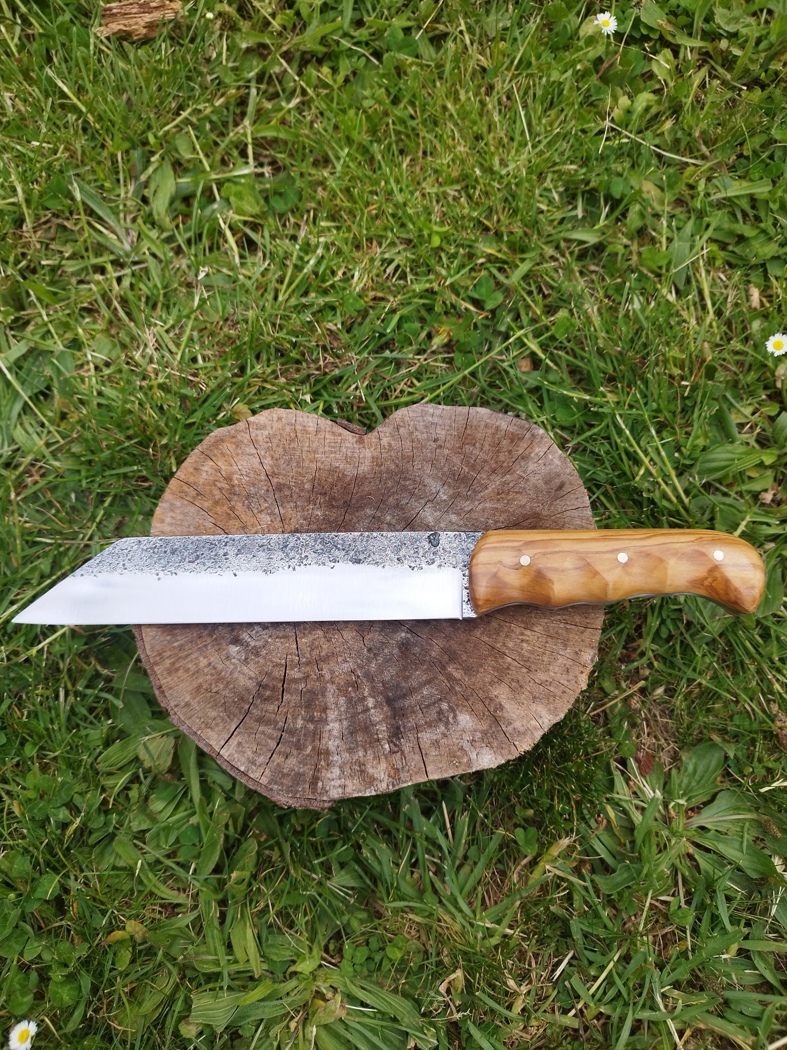 Scramasaxe : Manche en Olivier